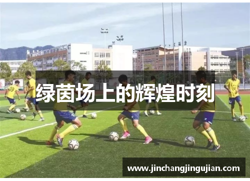 绿茵场上的辉煌时刻